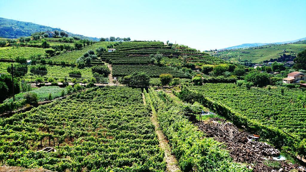 Douro Valley - Casa Vale Do Douro Lamego Exteriér fotografie