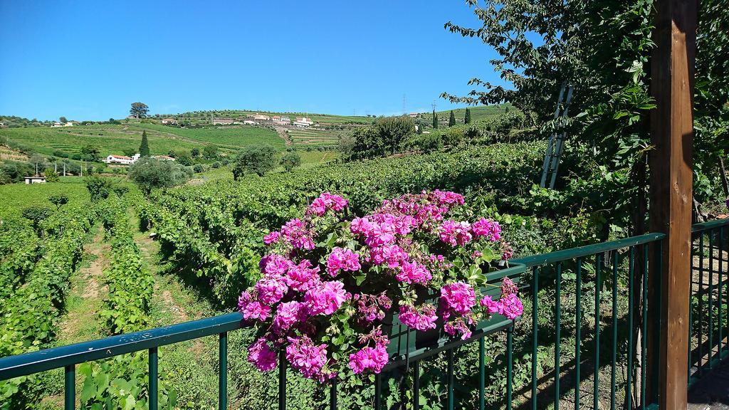 Douro Valley - Casa Vale Do Douro Lamego Exteriér fotografie